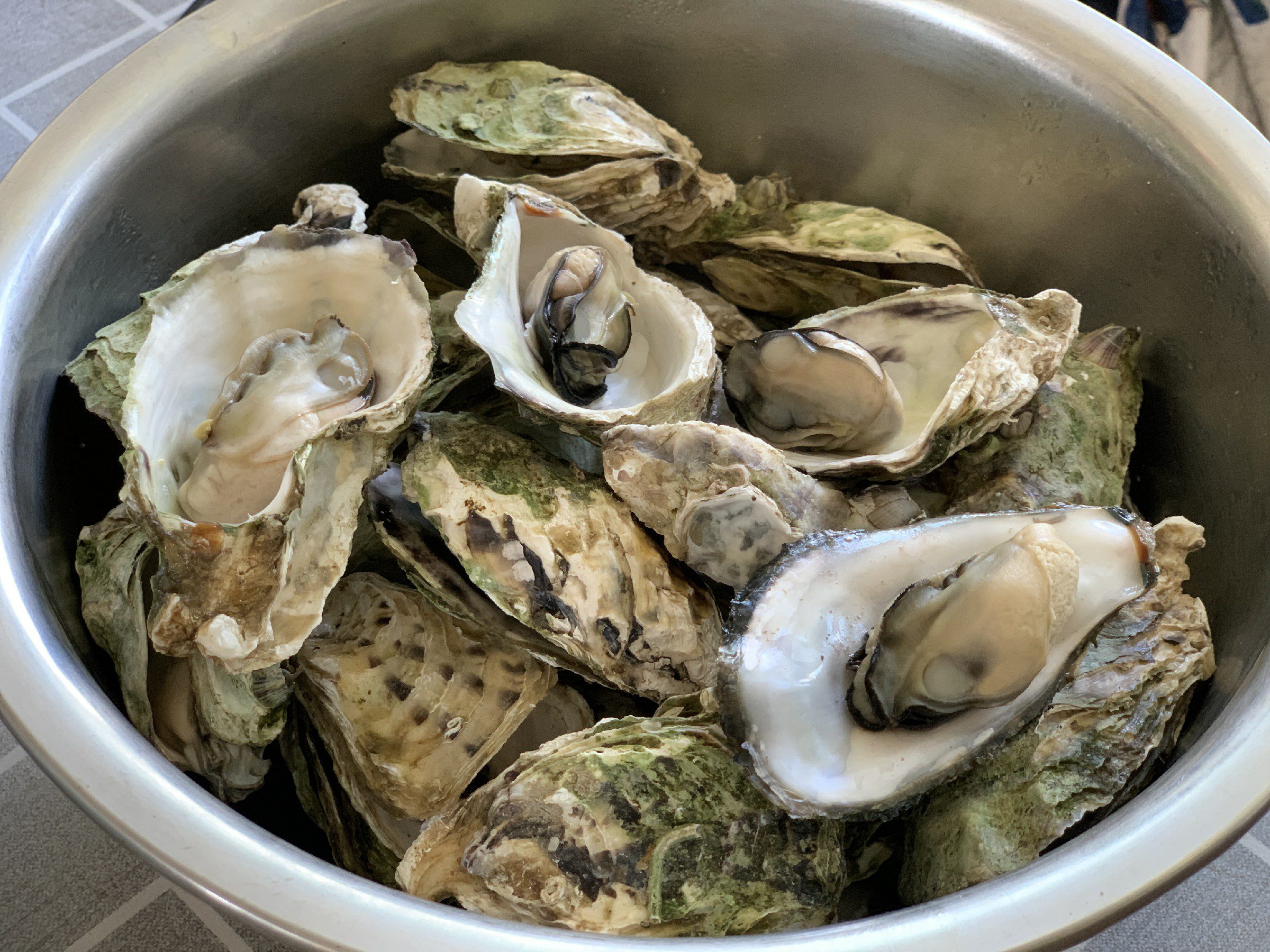 Do oysters need to be cleaned before opening