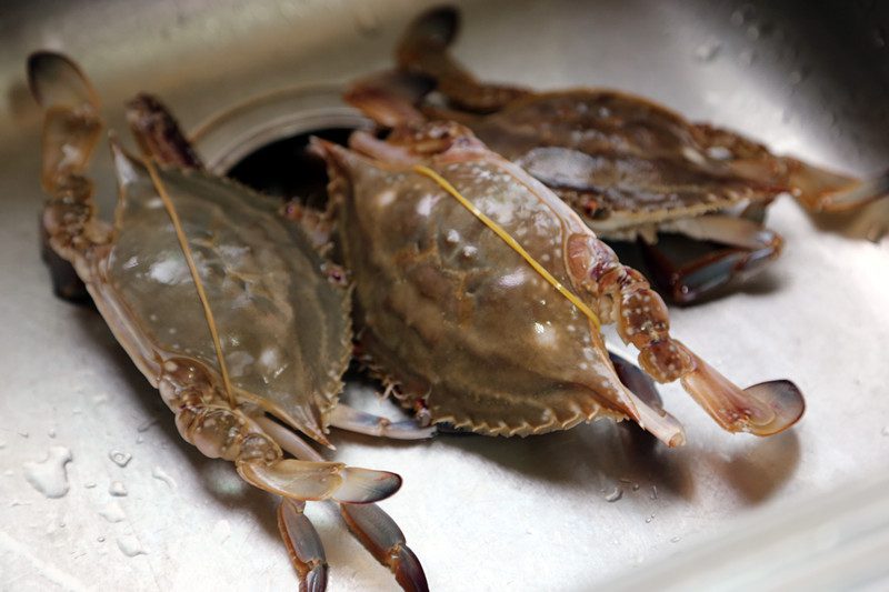 Steps to stir-fry crabs with onion and ginger