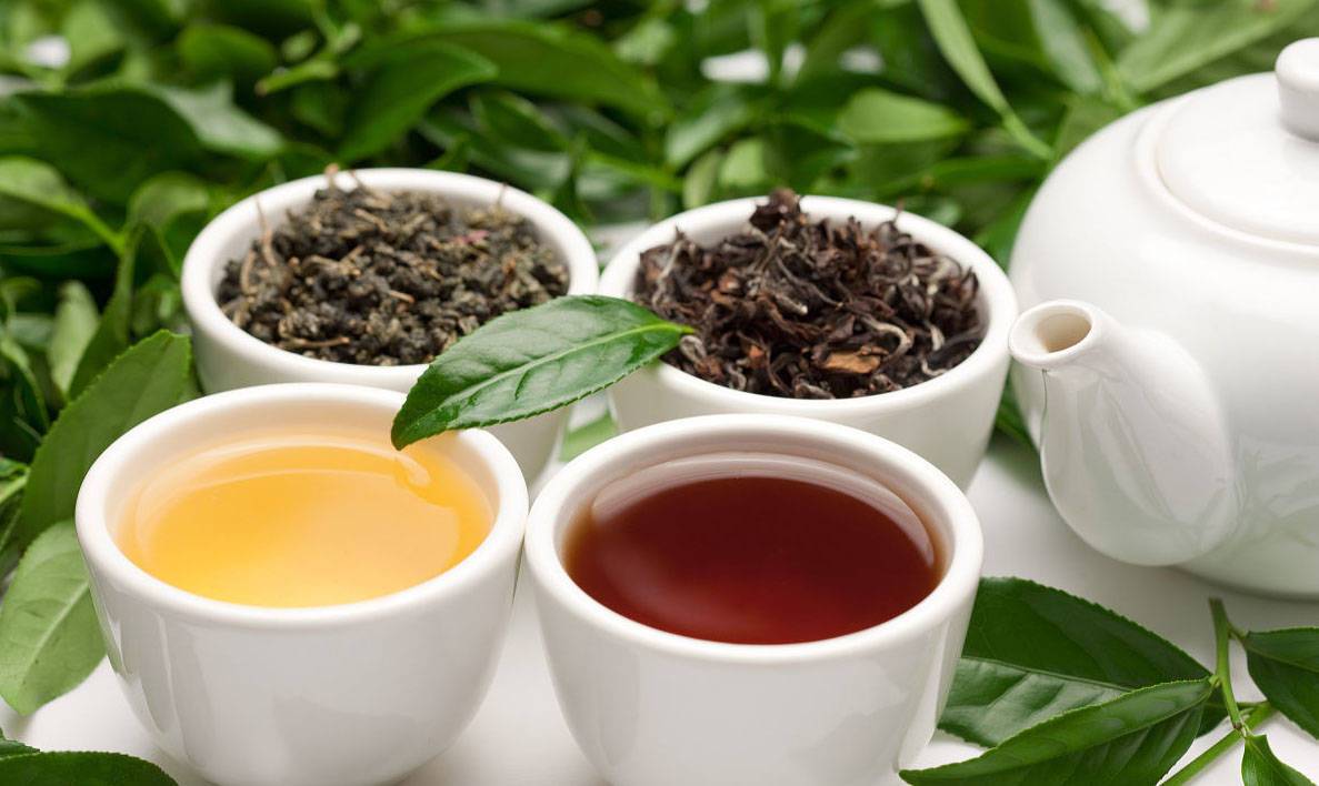 Oolong tea benefits and functions